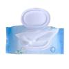 Disposable Kill 99.9% Bacteria Nonwoven Wet Wipes Antibacterial